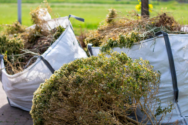 Best Professional Junk Removal  in Winnsboro, SC